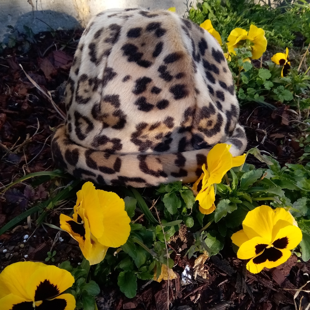 Neiman Marcus Hat